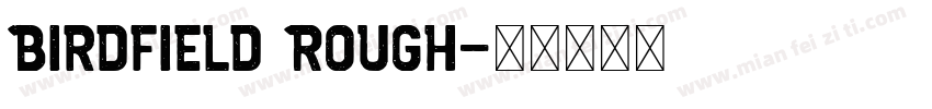 Birdfield Rough字体转换